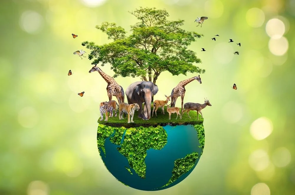Diverse ecosystem