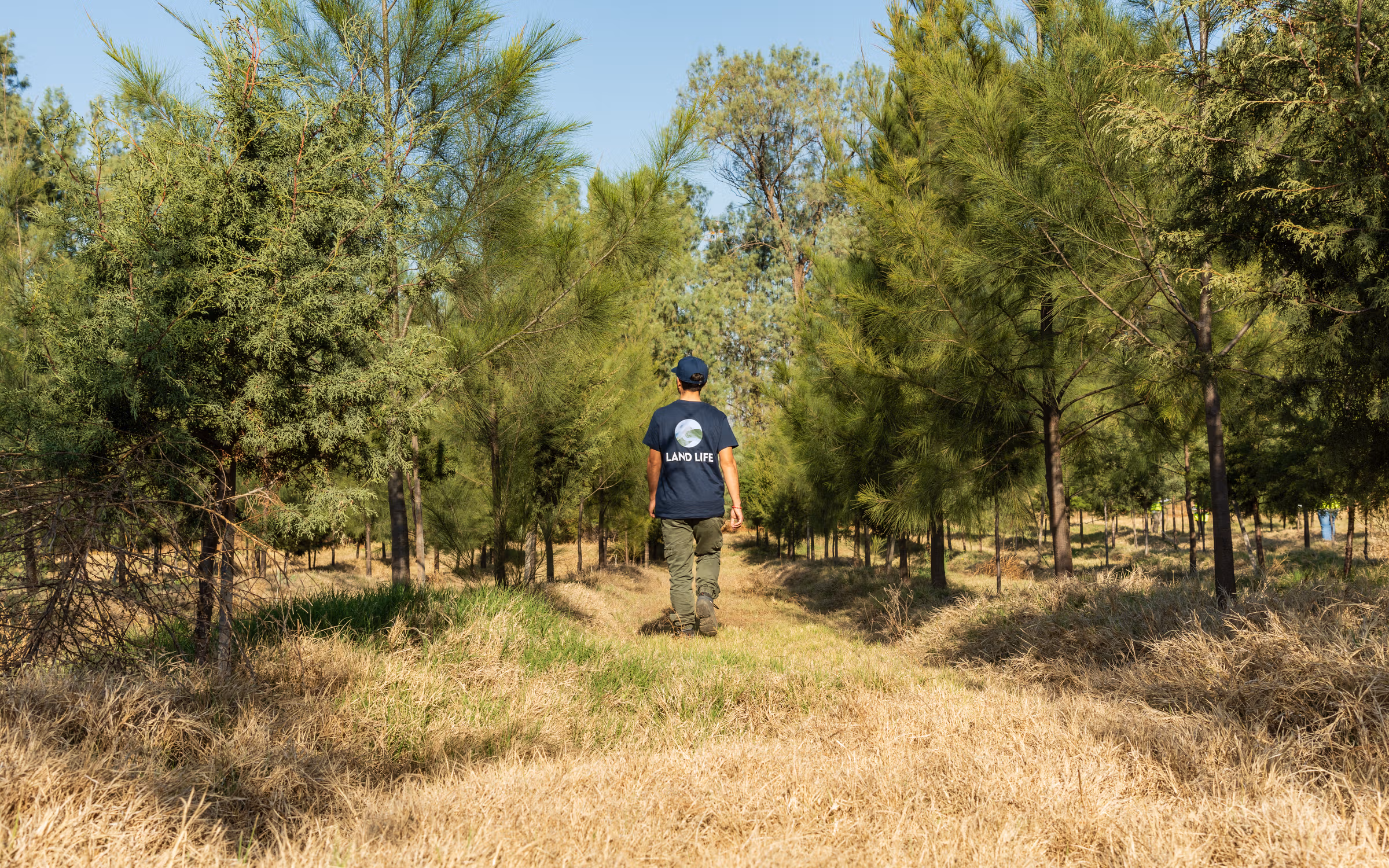 Forest Conservation