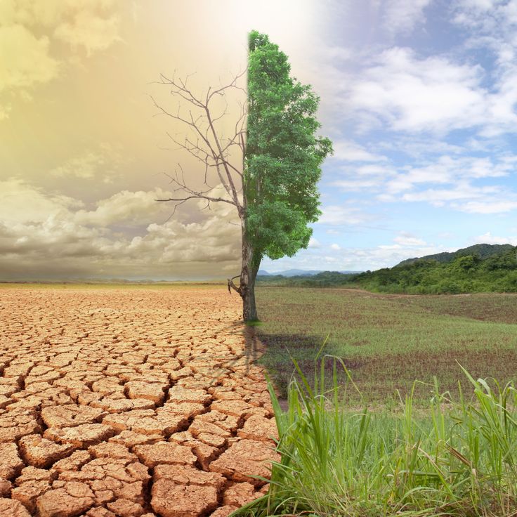climate change image 2