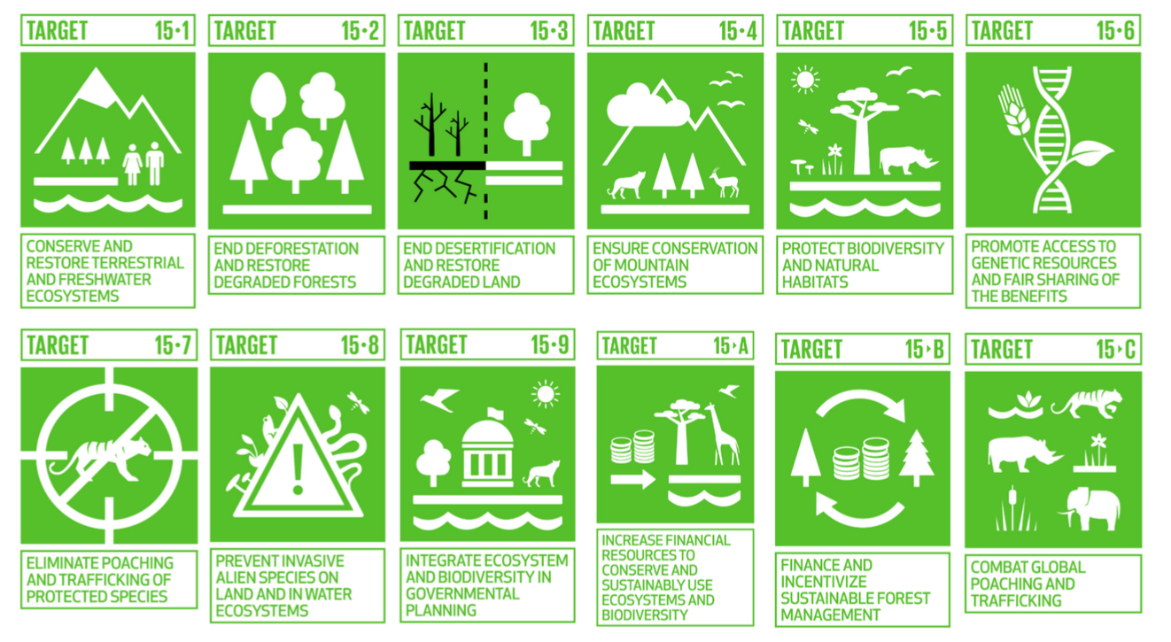 sdg-15 goals