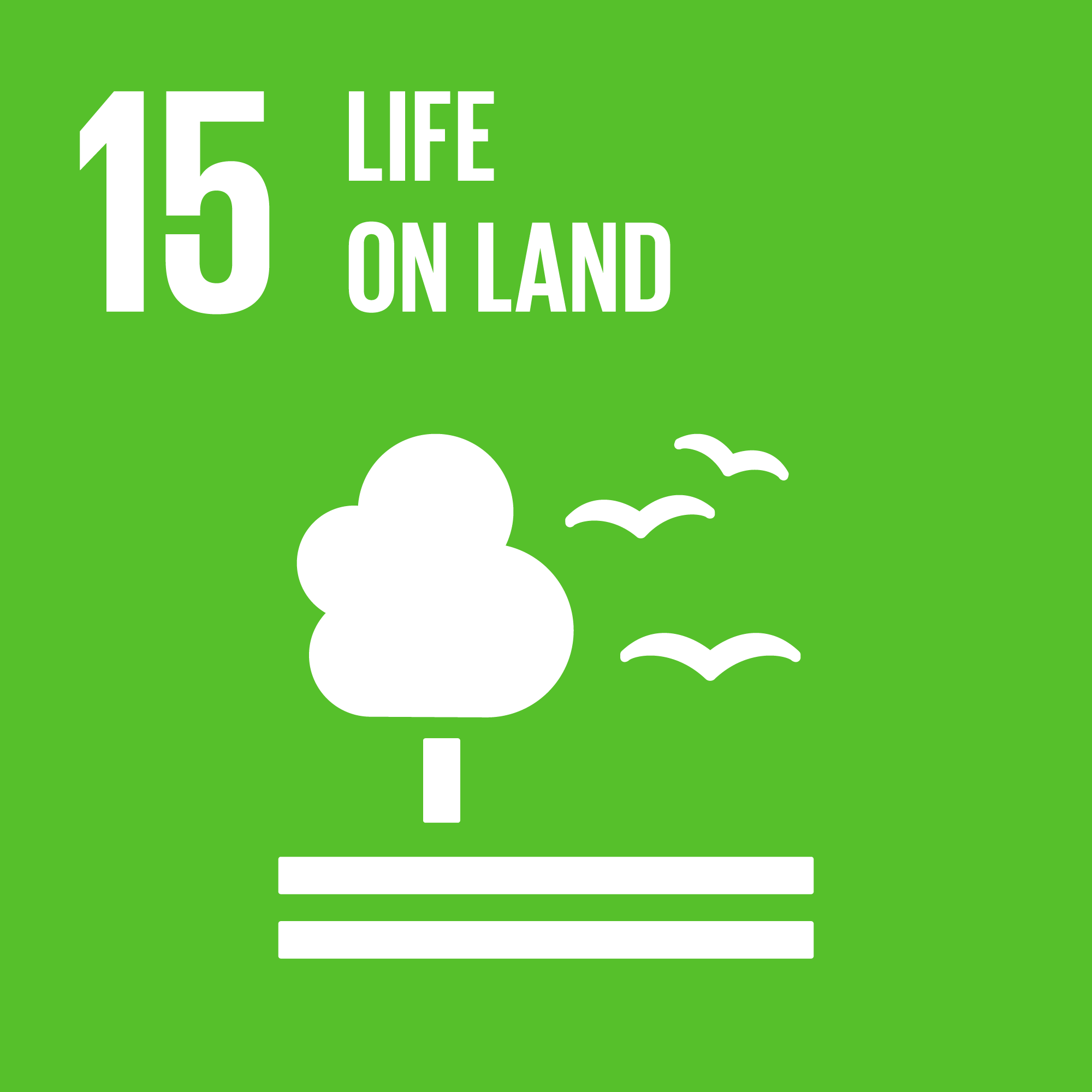 SDG 15 Icon
